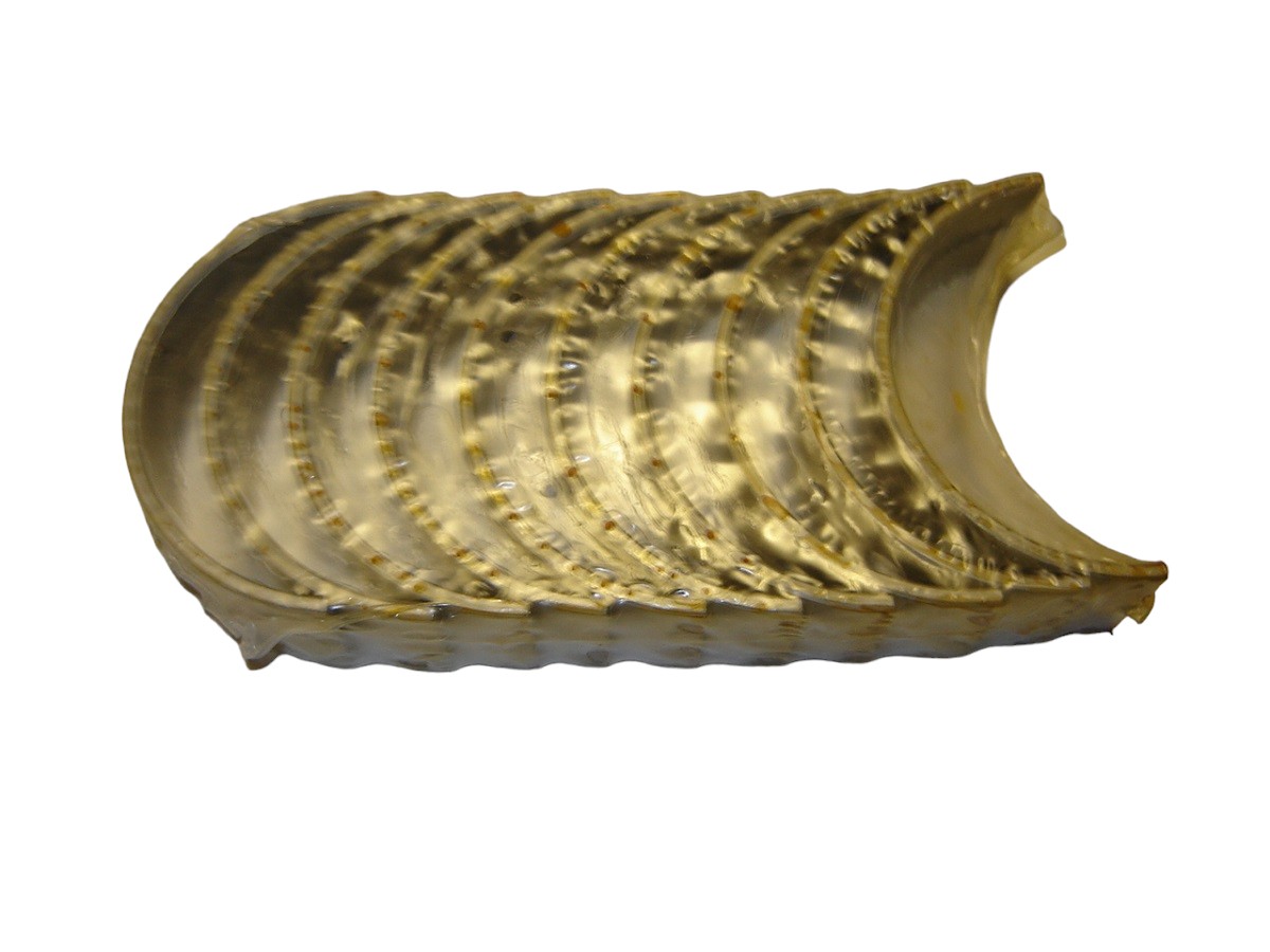 METALES BANCADA +1.00 ISUZU 4BA1 2.8/4BC2 3.3/BLAC 3.3/3.7