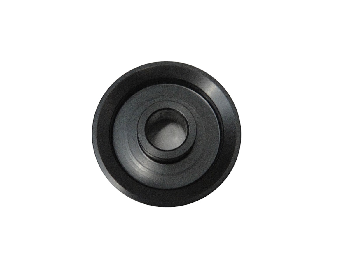 POLEA ALTERNADOR ISUZU 1.7 DTI 16V (MERIVA/CORSA NOVO)