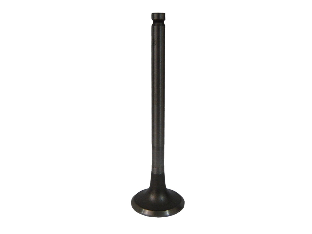 VALVULA DE ESCAPE ISUZU 2.8 4BA1/4BC1/4BC2/4BB1/6BB1/6BG1