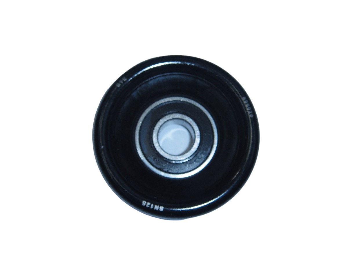 POLEA ALTERNADOR CHEVROLET S10 2.8 MWM COL 2012/ 76MM LOCA
