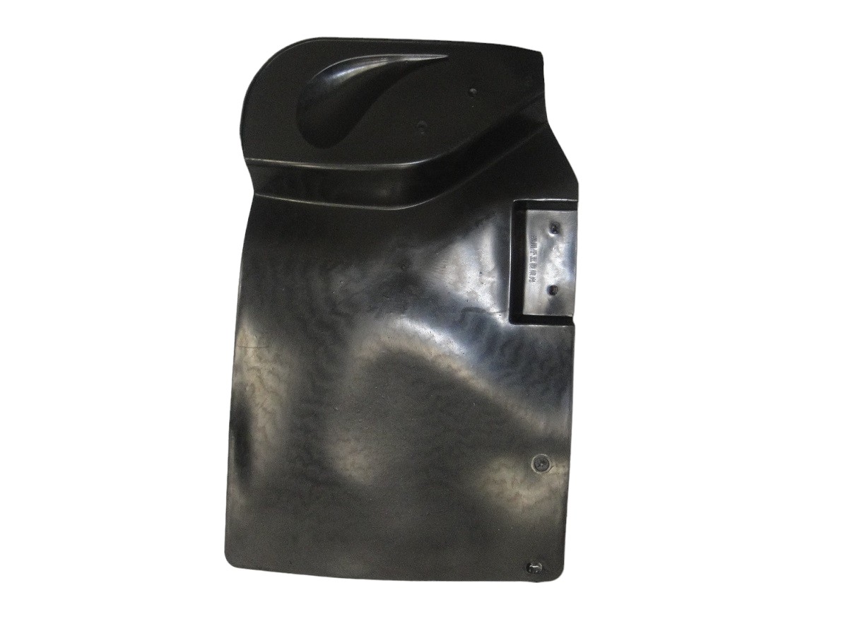 BUCHE INT G/BARRO DEL POSTERIOR DER*CH N300