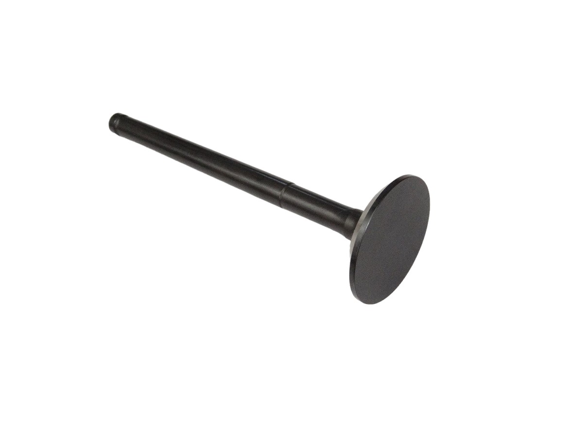 VALVULA ESCAPE ISUZU 1.9/2.4 (C190/C240) 34MM